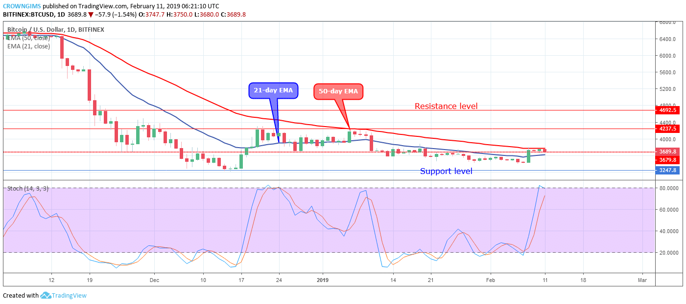 Bitcoin Price Analysis: BTC/USD Trends of February 11–17, 2019