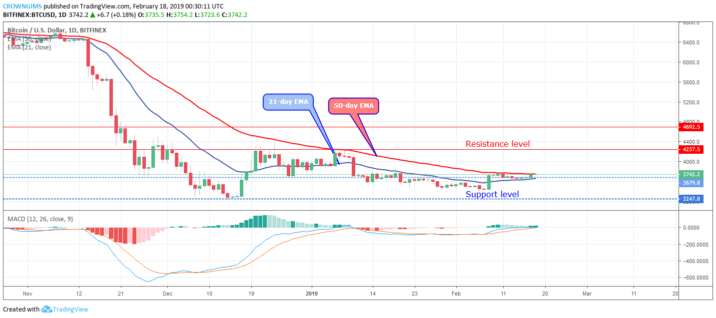 Bitcoin Price Analysis: BTC/USD Trends of February 18–24, 2019