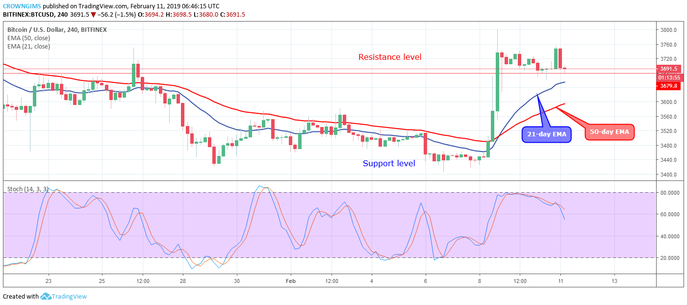 Bitcoin Price Analysis: BTC/USD Trends of February 11–17, 2019