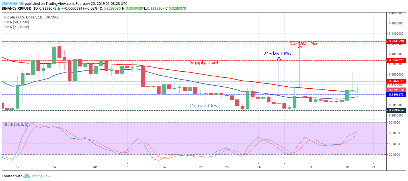 XRP Price Analysis: XRP/USD Trends of February 20–26, 2019