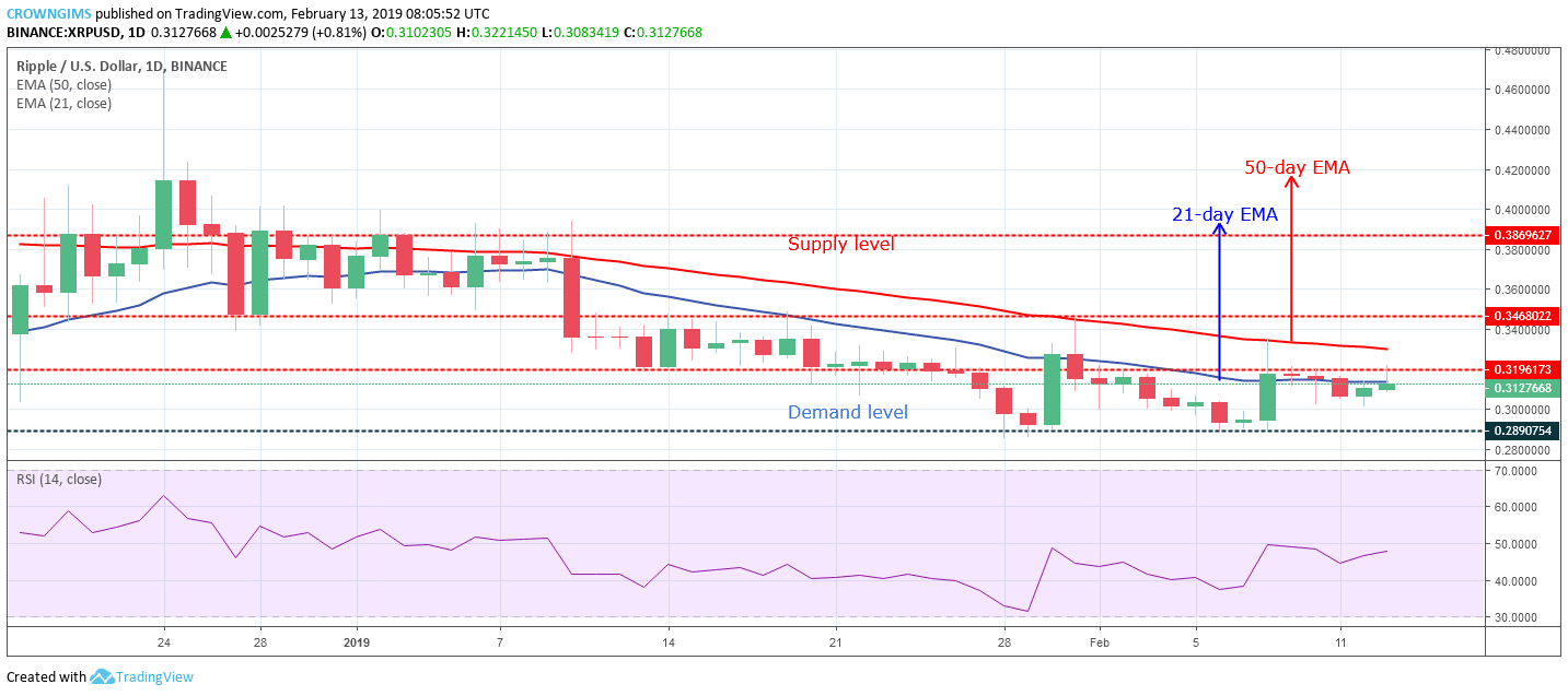 XRP Price Analysis: XRP/USD Trends of February 13–19, 2019