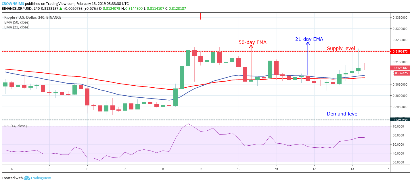 XRP Price Analysis: XRP/USD Trends of February 13–19, 2019