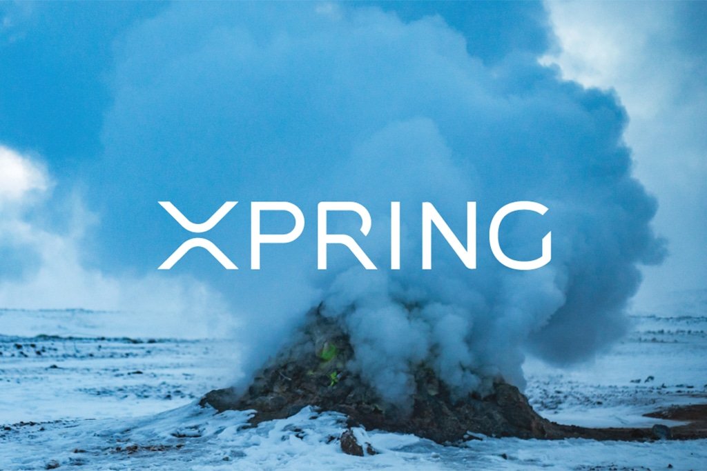 Ripple Invests in Wietse Wind’s XRPL Labs to Boost the Development of Some Promising Projects