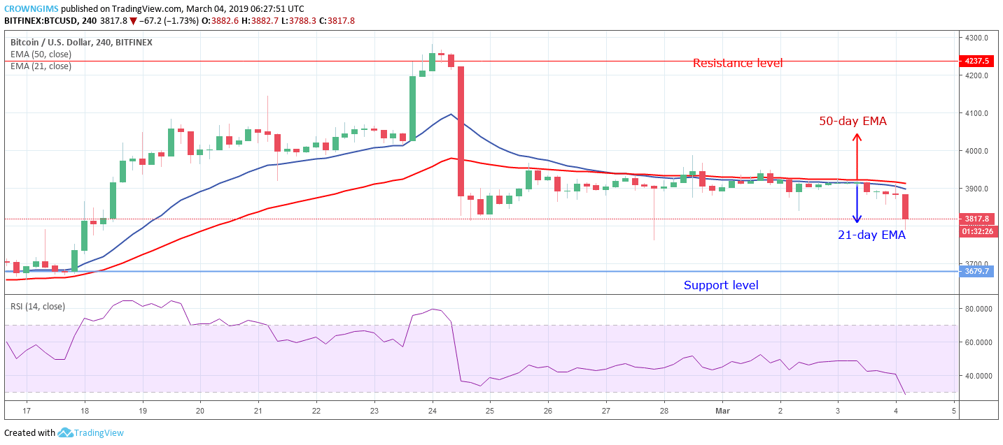 Banana Coin Price Chart