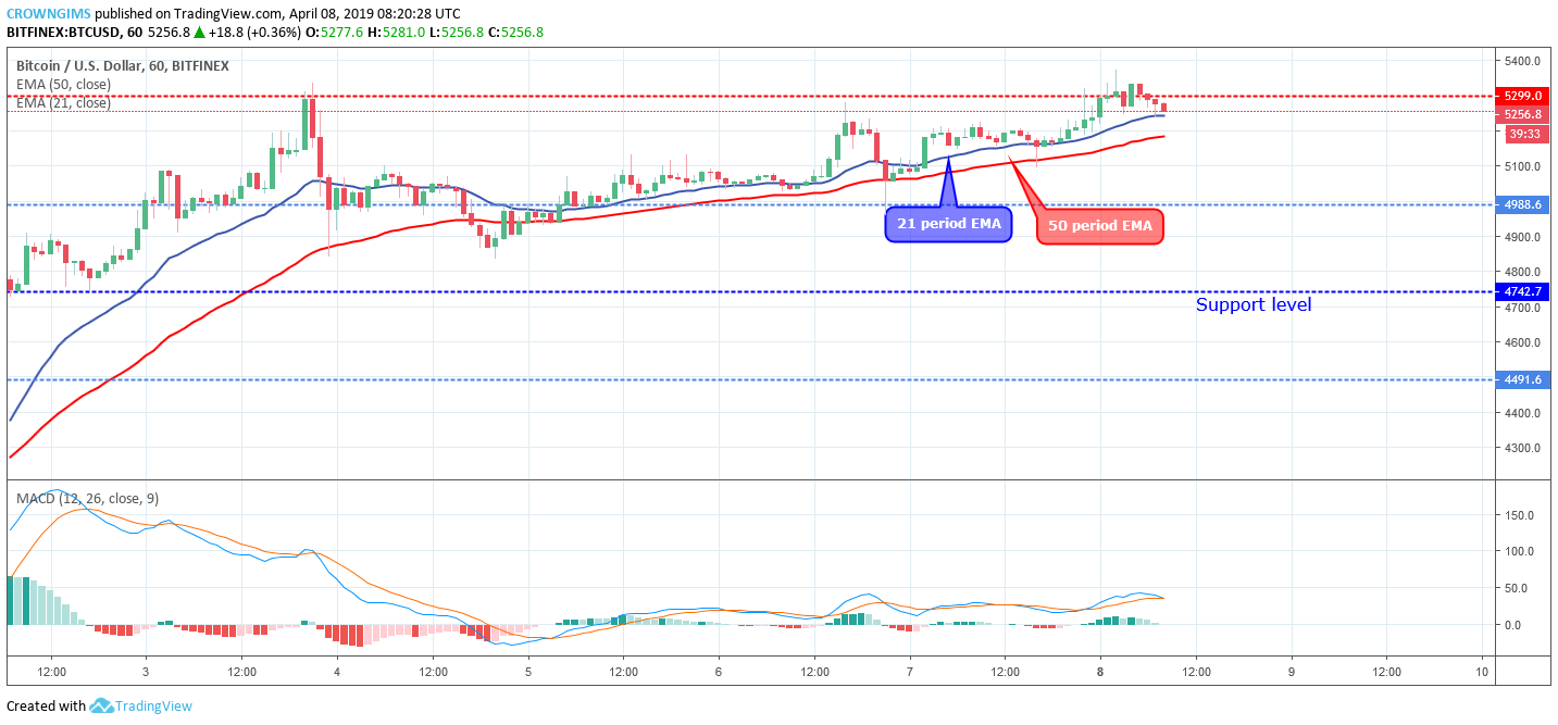 Bitcoin Price Analysis: BTC/USD Expected to Break Up $5,299 Rising Towards $5,574