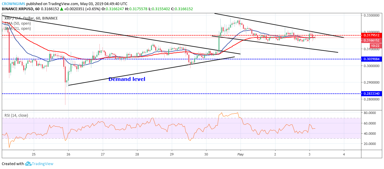 XRP Price Analysis: XRP/USD Is Consolidating at $0.31 Level, Expecting a Bullish Breakout