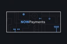 NOWPayments Review: Can It Beat the Competition?