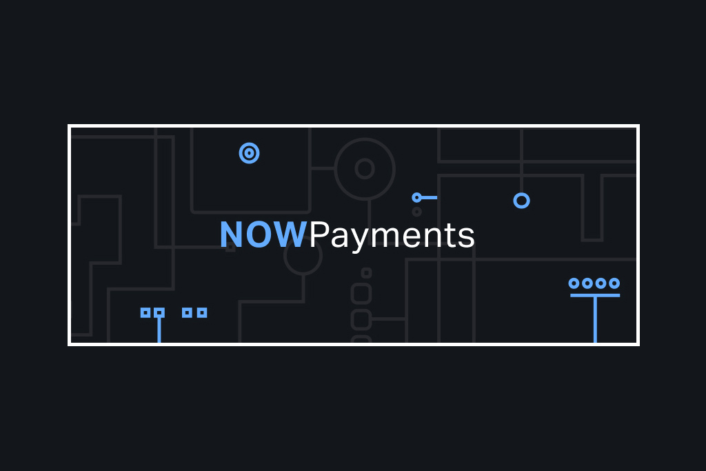 NOWPayments Review: Can It Beat the Competition?