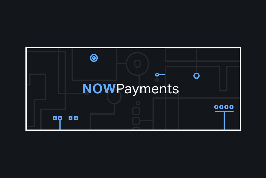 NOWPayments Review: Can It Beat the Competition?