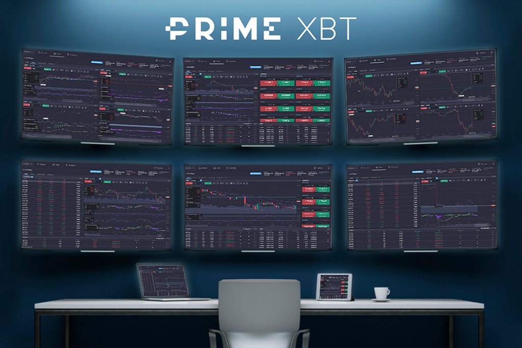 PrimeXBT Research: Where to Invest Safely in 2019