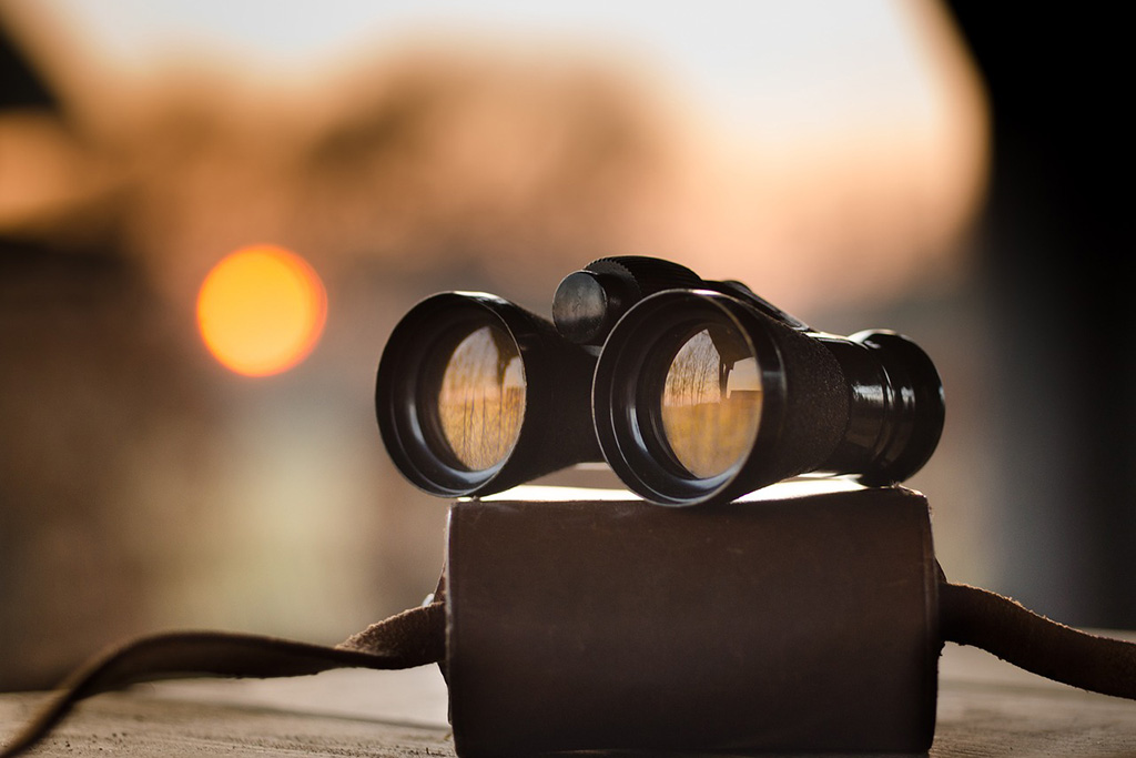 https://pixabay.com/photos/binoculars-dusk-sunset-birding-1269458/