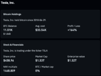 Tesla's Bitcoin reserves by the end of 2025 | Source: Coinglass
