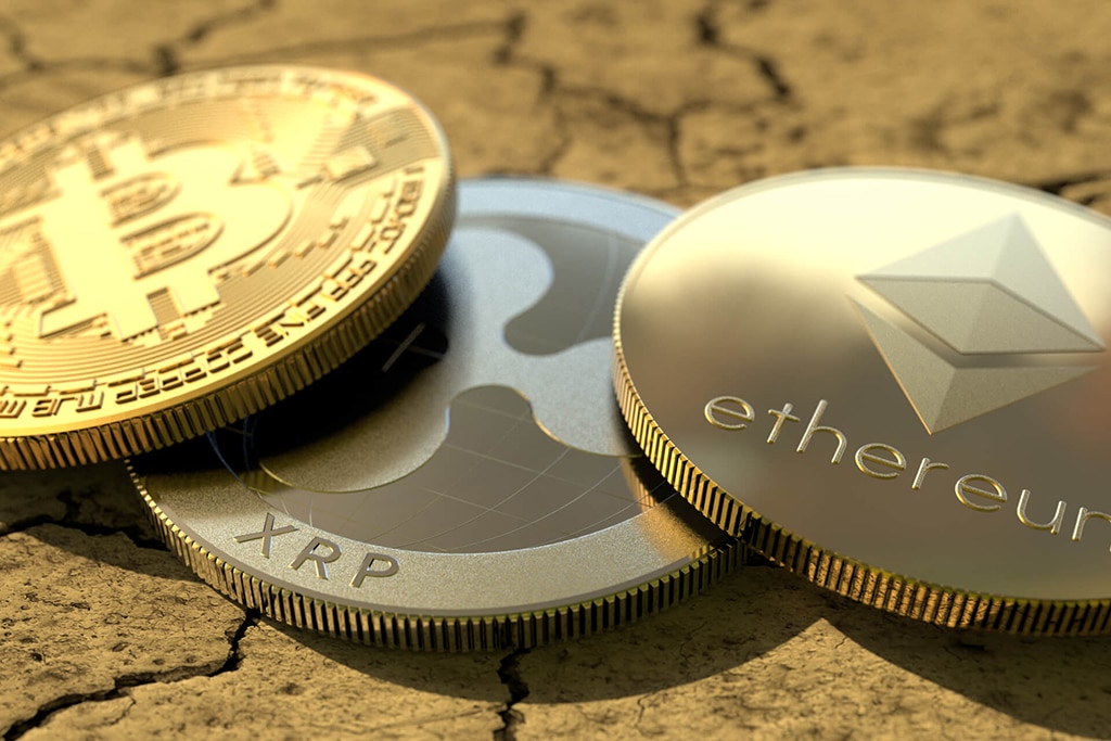 feed crypto coin