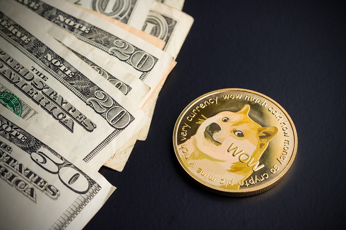 Tesla and SpaceX CEO Elon Musk Claims Dogecoin Is Cool, Price Goes Up