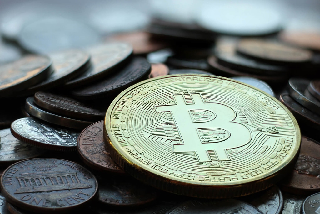 How Much Is Bitcoin Going To Go Up - Why Bitcoin S Price Is Recovering Today Barron S : Now, we can't count our eggs before they've hatched.