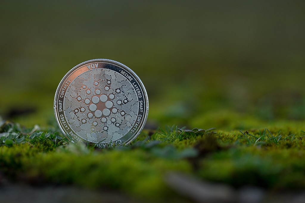 Cardano Sets Launch Date for Shelley Update with ADA Staking Rewards, ADA Price Up 11%