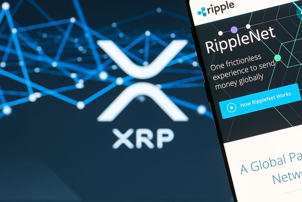 Should Invest in Ripple's XRP 