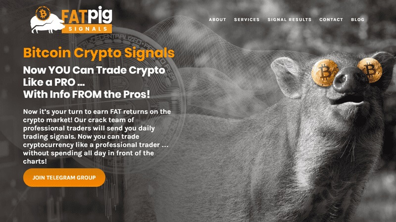 The Best Telegram Crypto Signals Groups: Take a Look at Our Top 5 Suggestions