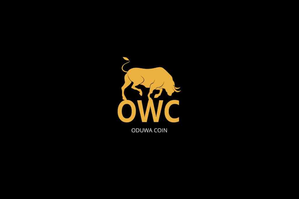 The Digital Solution for Africa’s Payment System Issues