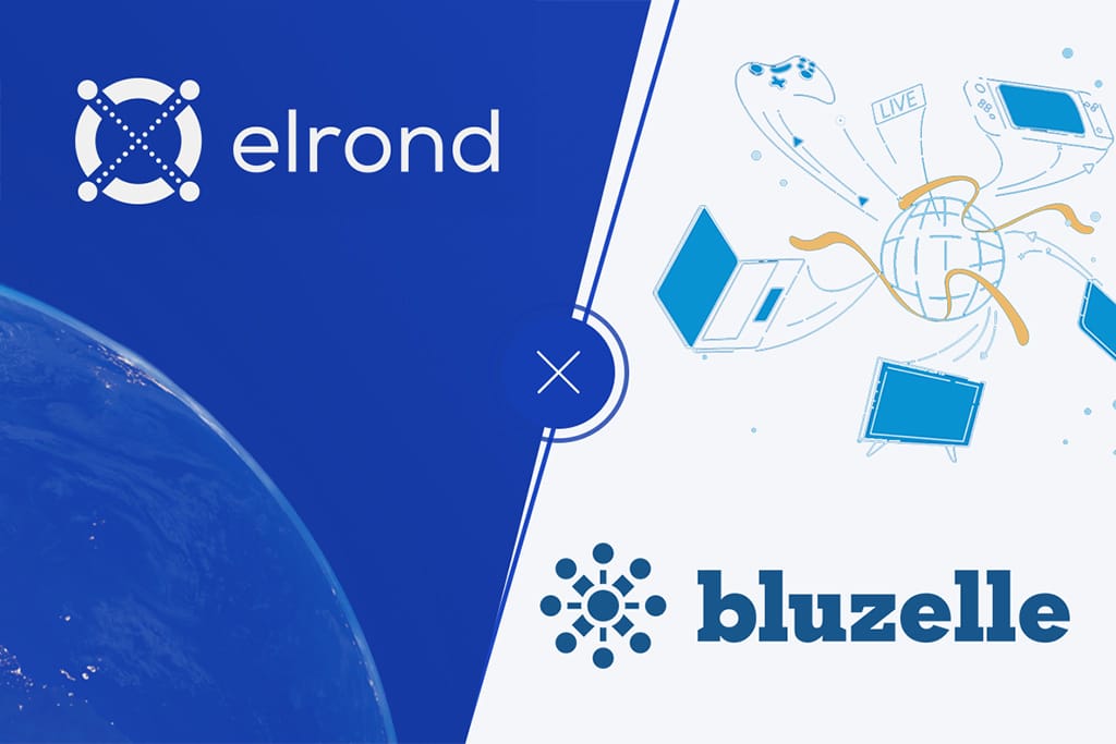 Bluzelle and Elrond Teams Up to Provide DApps Built on Elrond Mainnet