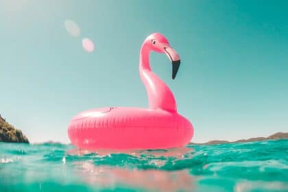 Binance Presents Flamingo Finance that Is Third Project on Its Launchpool