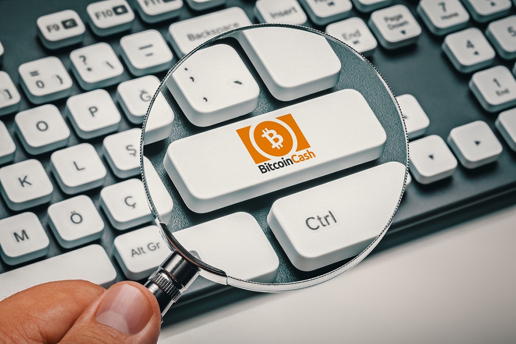 Grayscale Bitcoin Cash Trust Loses $1.6M after BCH Hard Fork