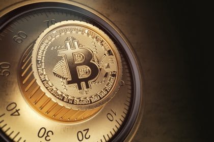 Bitcoin ‘Potential Store of Value’ under Scrutiny as Its Volatility Termed Extremely High