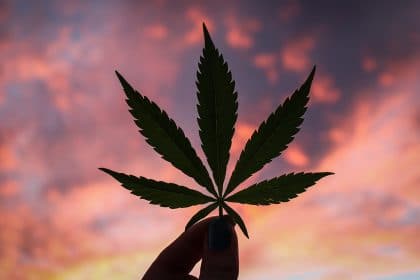 Reddit Posts Trigger Increase in Cannabis Stocks
