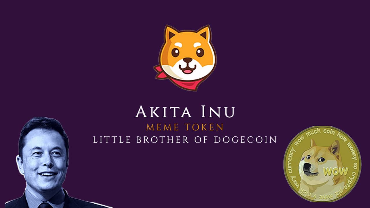 Akita Inu: The Decentralized Meme Currency Building a DEX Community With Polarfox