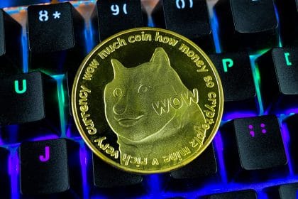 Dogecoin Brushes Litecoin aside with 300% Price Surge as BTC and BNB Slip Marginally 