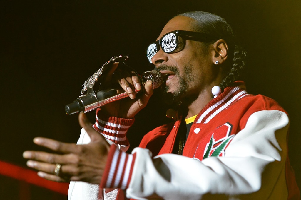 Snoop Dogg Partners Nyan Cat Creator Chris Torres for NFT Project