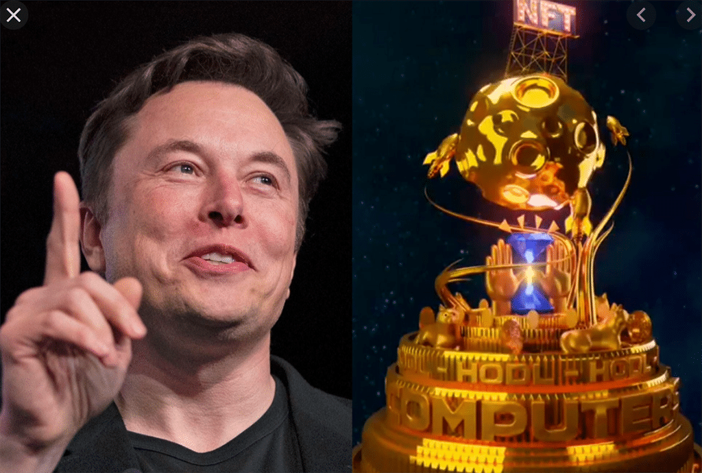 Worldwide NFT Rush: BetFury Joins