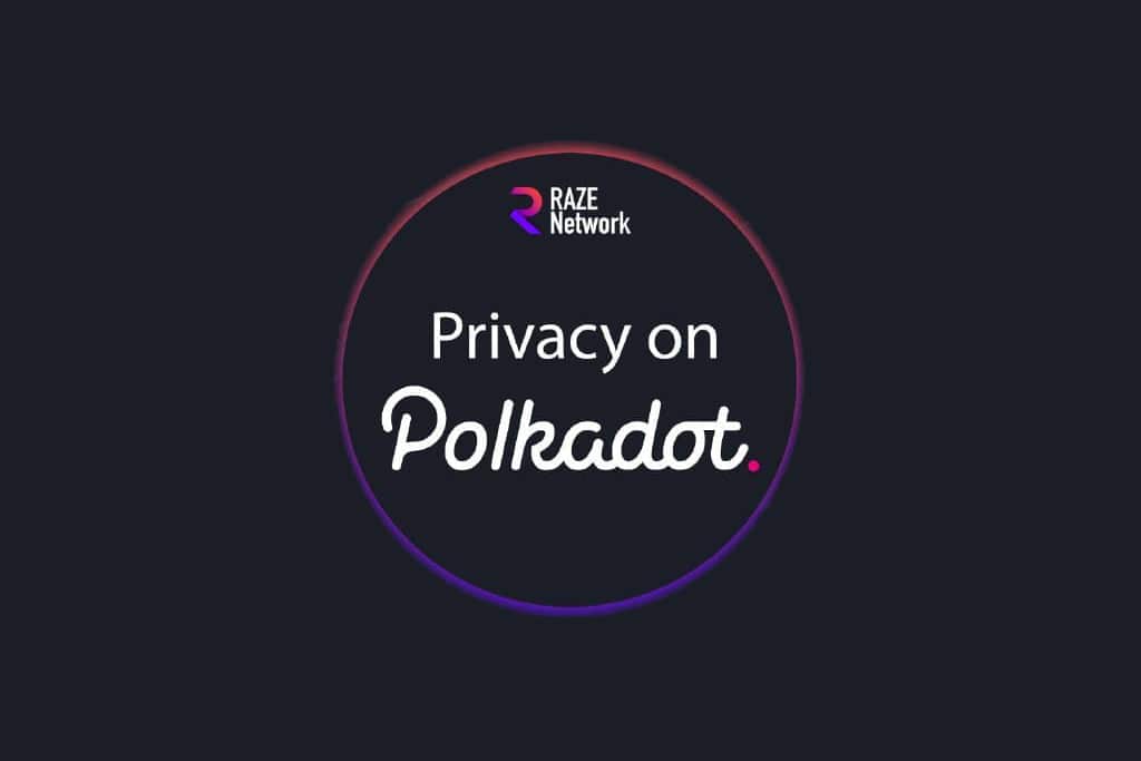 Raze Network Redefining Privacy for Polkadot Ecosystem