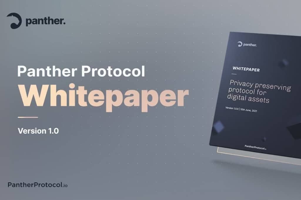 Panther Protocol Releases Ambitious Whitepaper for an End-to-End DeFi Privacy Solution