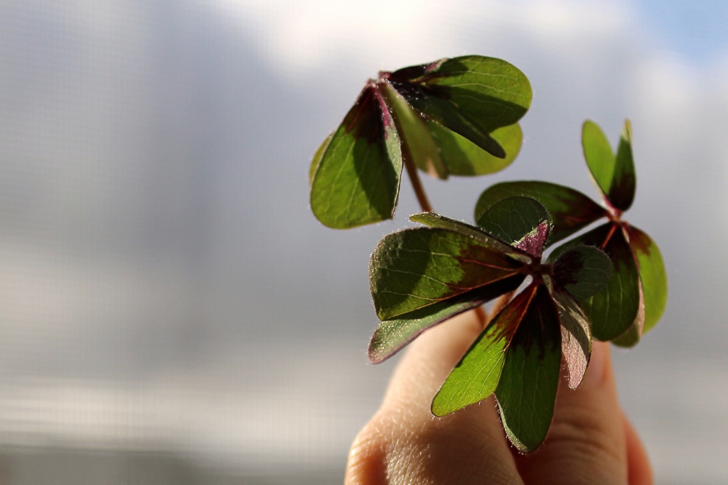 Clover Finance (CLV) Launches on Coinbase Pro