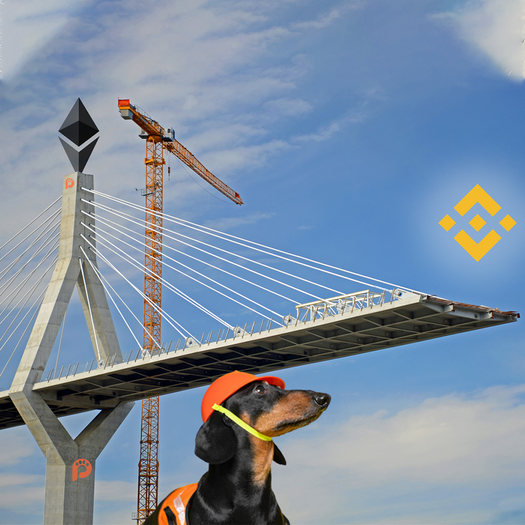 Pawtocol Launches Bridge to Binance For Their Utility ...