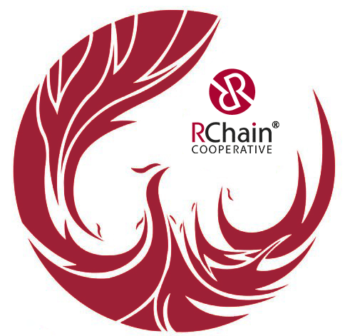 RChain Founder's Open Letter to Tesla CFO