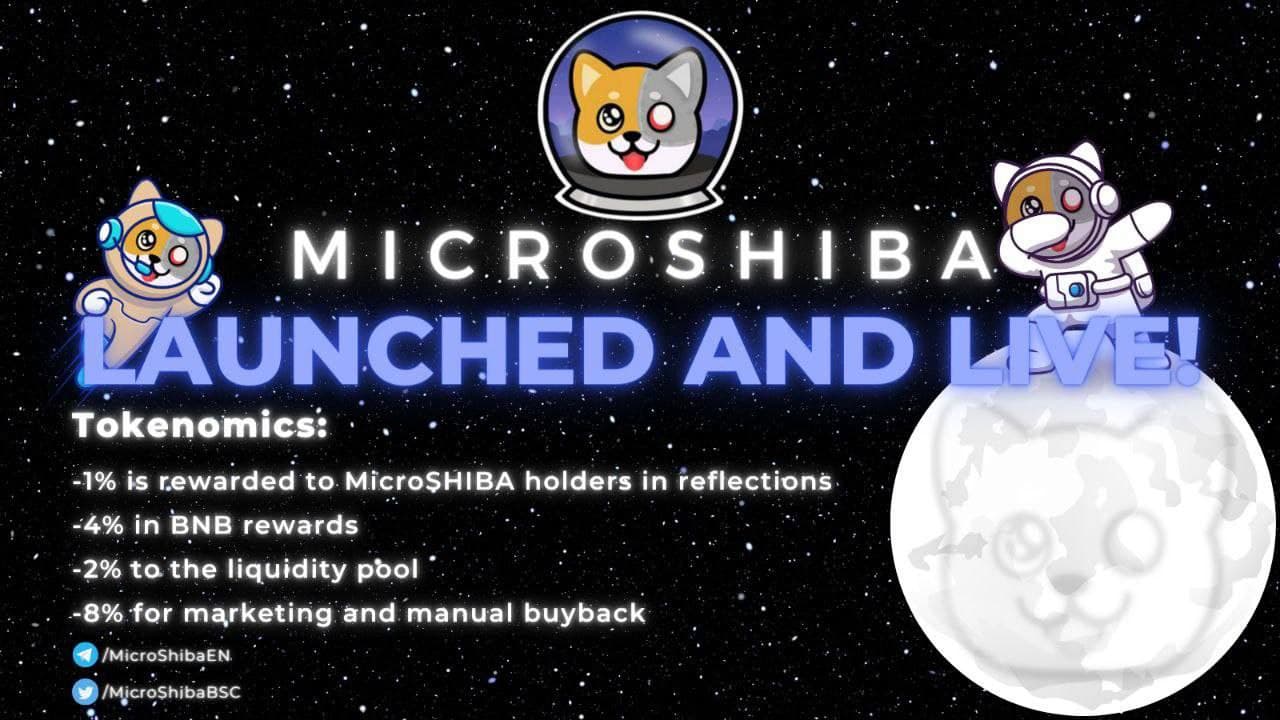 MicroSHIBA: Introducing a New Form of Buyback Transactions In a DeFi-based Community Project