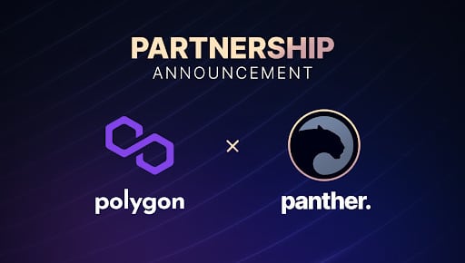 Panther and Polygon Are Taking Privacy to New Heights in DeFi