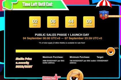 MaMo Experiment Phase 1 Public Sales Recap