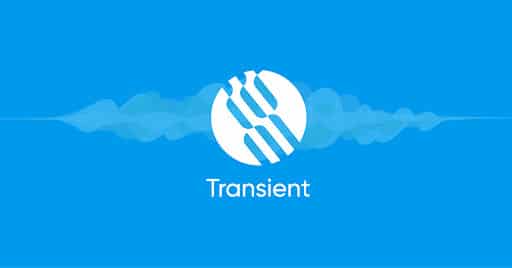 Transient Raises $1.2 Million in IDO Public Sale to Build the Amazon of Smart Contracts