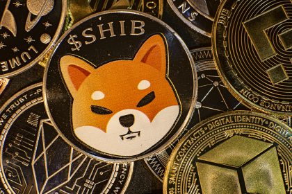 Shiba Inu Climbs Up Rankings to Top 10 Coins amidst 138% Weekly Price Growth