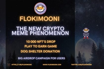 Flokimooni Launches a Decentralized Platform with NFT Gaming Metaverse