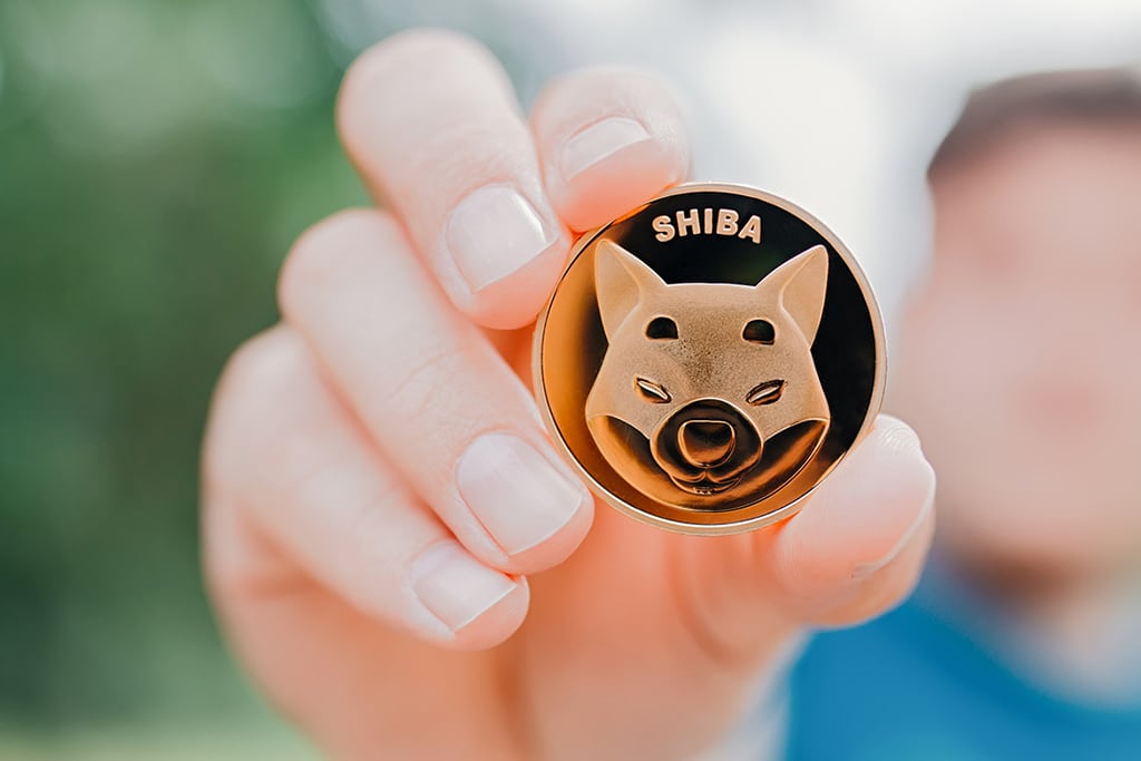 Kraken Crypto Exchange Lists Shiba Inu