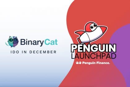 The BinaryCat IDO Is on the December Calendar!