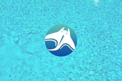 Manta Network Community Gains Access to New Features with Dolphin Testnet Roll Out