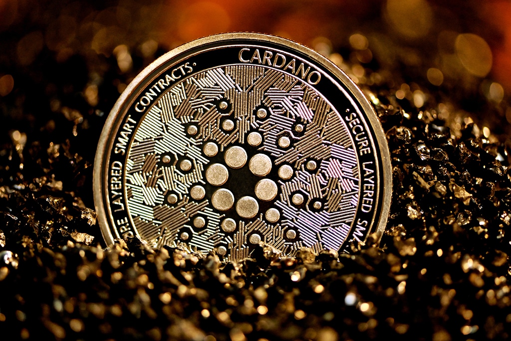 Cardano Blockchain Registers Highest Development Activity for 2021