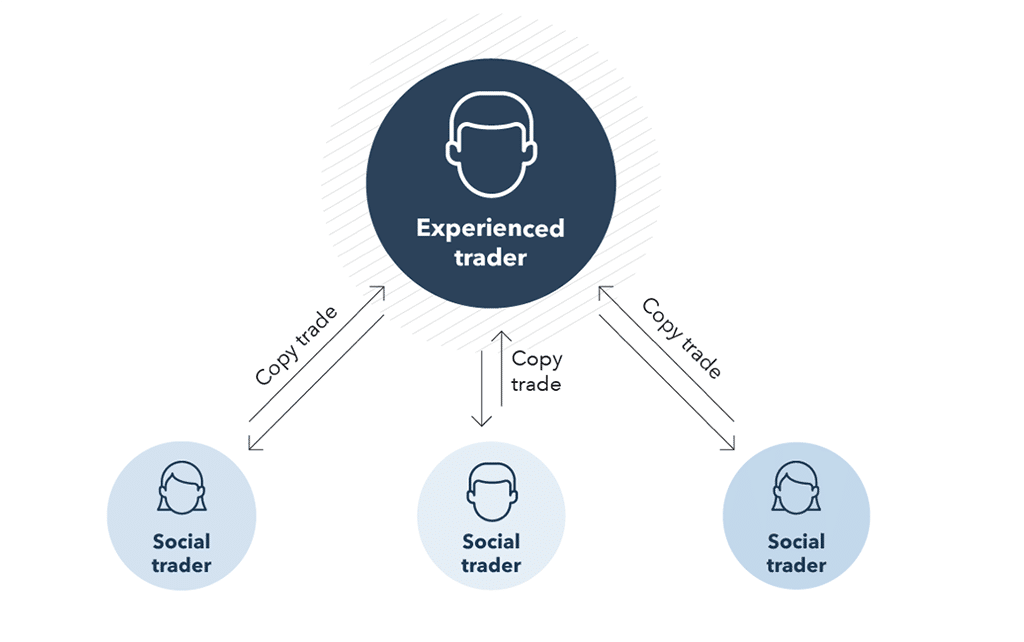 What Are Key Differences between Degen and Social Trading?