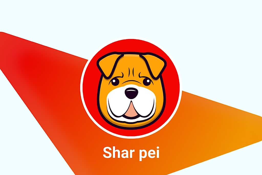 New Meme Token Sharpei Offers Competitive Advantage