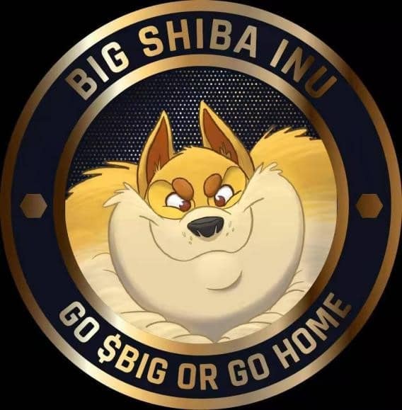 Big Shiba Inu - The Biggest DAO Ever Conceived